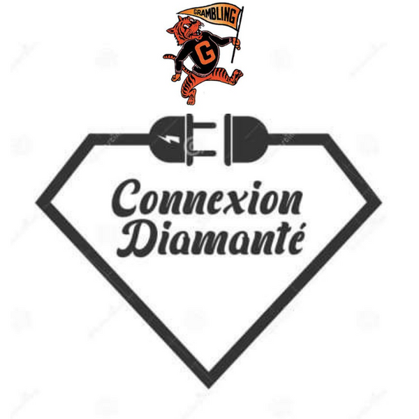 Connexion Diamante GTOWN 